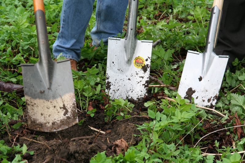 pepiniere-LA BOLLENE VESUBIE-min_work-lawn-flower-tool-green-backyard-1103633-pxhere.com